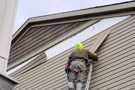 Affordable Siding Repair and Maintenance Services in Cabana Colony, FL